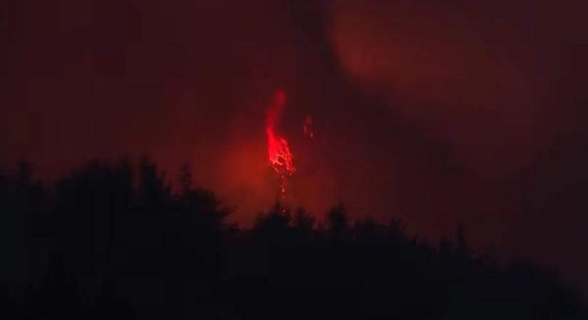 Napok óta küzdenek az erdőtüzekkel, de hiába – lakóövezeteket fenyegetnek a lángok