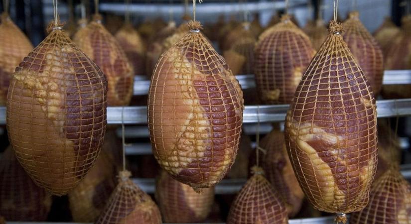 Koszos falak, penészes ventilátorok – Szabocsban sem találtak mindent rendben az ellenőrök. Sőt!