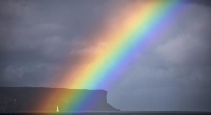 Plüssmackó installáció és ausztrál szivárvány a hét képein