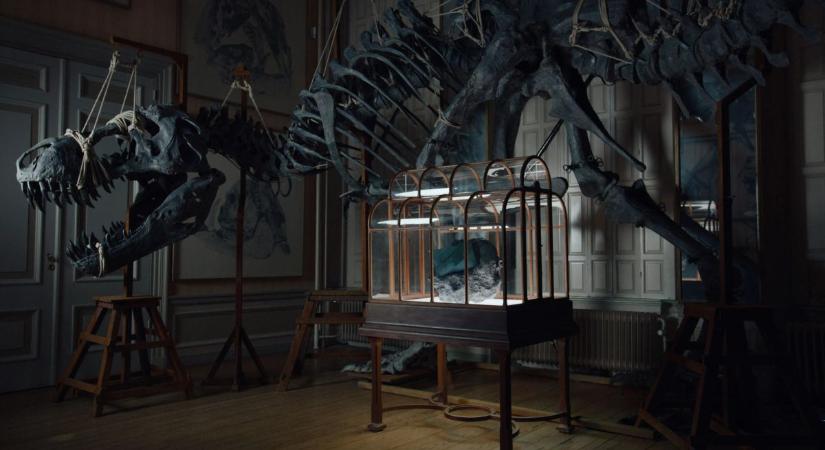 Őskori luxus: bemutatták a világ első dinoszauruszbőr kézitáskáját (fotók,videó)