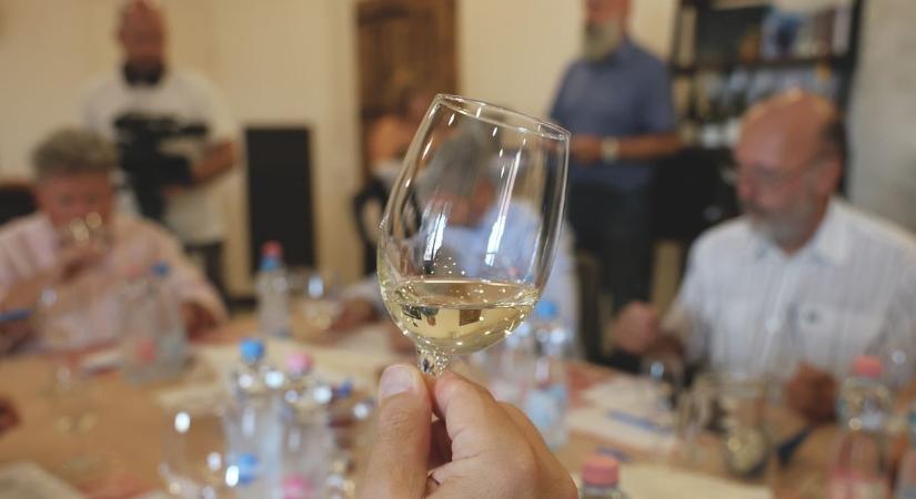 Idén is keresik Miskolc borát