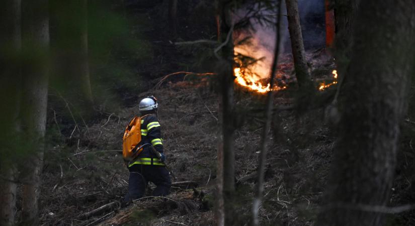 Már 3200 embert evakuáltak a napok óta tartó erdőtűz miatt Japánban