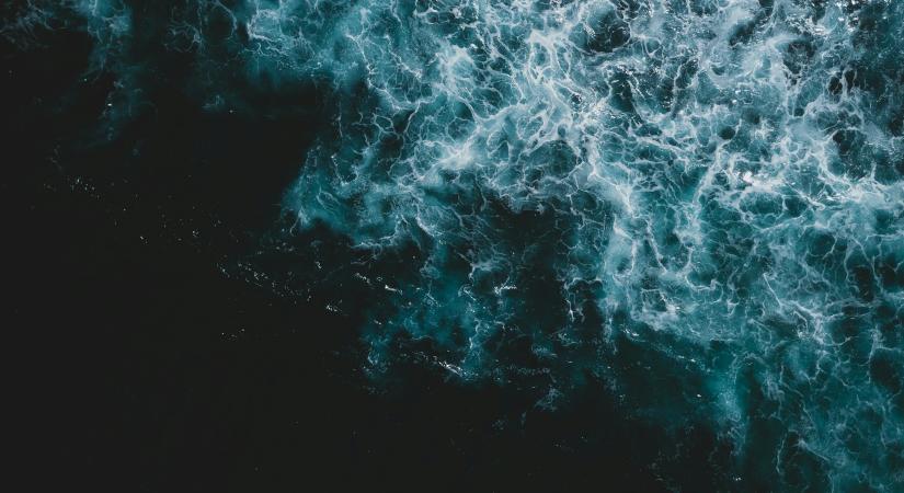 Pásztor Andrea versei