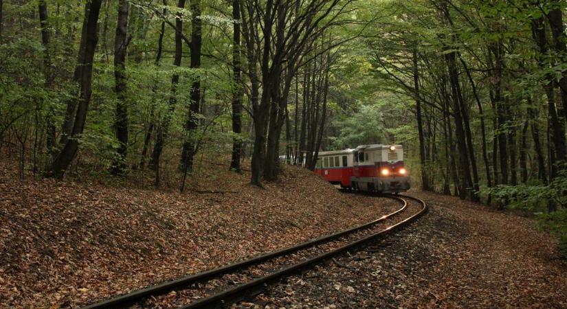 Megváltozik a Gyermekvasút: nyáron már így utazhatsz vele