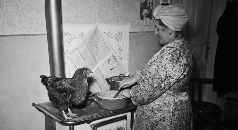 A vidék „bestiái” és gyerekkorunk örömei (galéria)