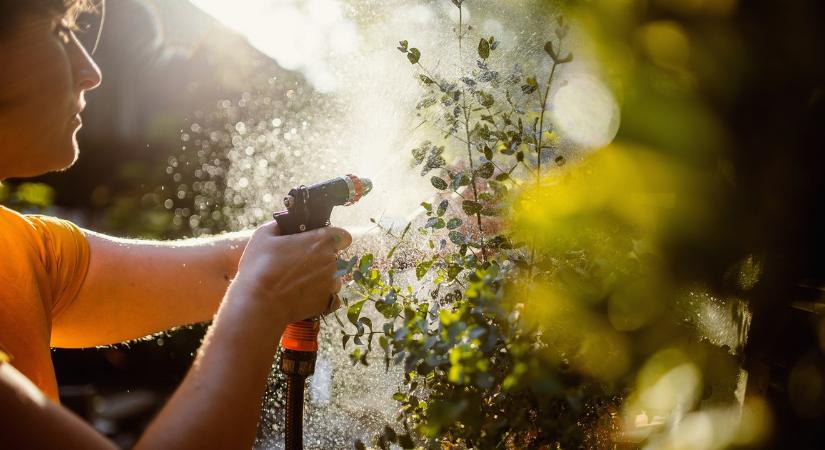 Tömegesen szúrnak villákat a kertbe: Így oldanak meg egy nagy problémát