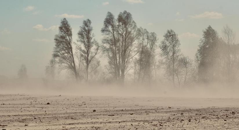 Meteorológia: az erős, viharos szél felkavarhatja a port