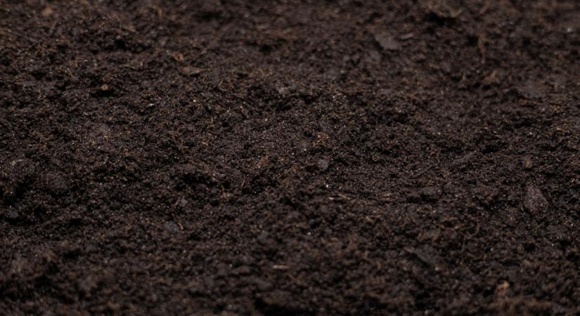 Így spórolhatnak a gazdák: ez a méregdrága műtrágyát is helyettesítheti