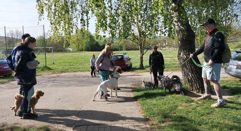 Kutyával a Bakonyba