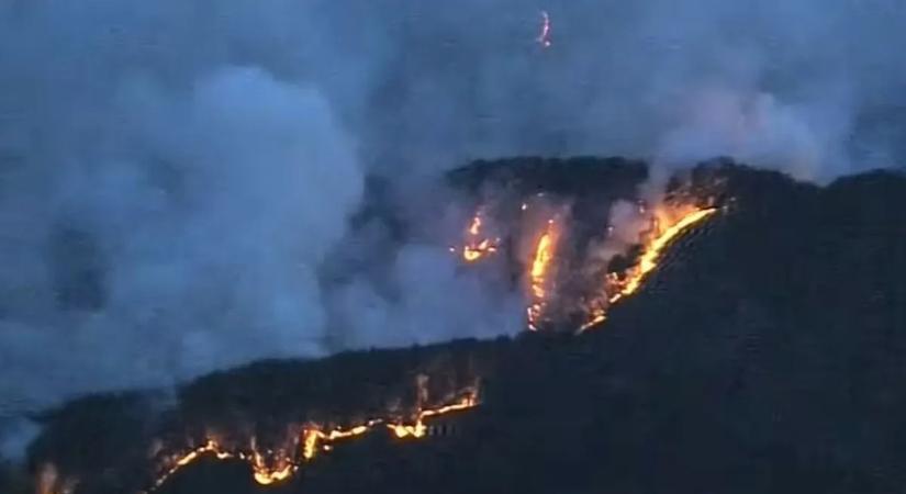 Öt napja küzdenek az erdőtüzek megfékezésével a tűzoltók - több ezer hektárnyi terület ég