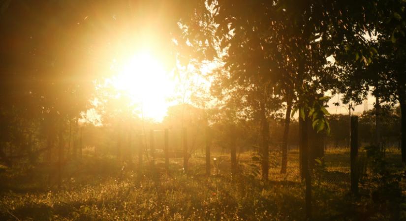 Veszélyben a kertek: Több éjszakán át is pusztíthat a fagy