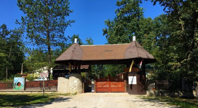 Németországból jött a különleges ragadozó Miskolcra – bárki találkozhat vele