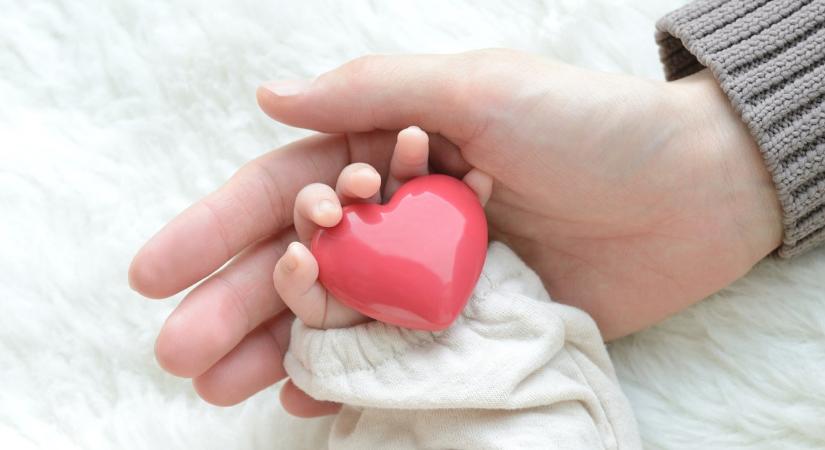 Micsoda boldogság: apa lesz a Sztárban Sztár leszek! énekese