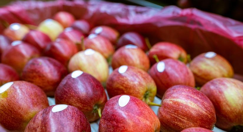 Nézd meg jól az almát: A kis matricán látható 8-as szám nem azt jelenti, amit eddig hittél