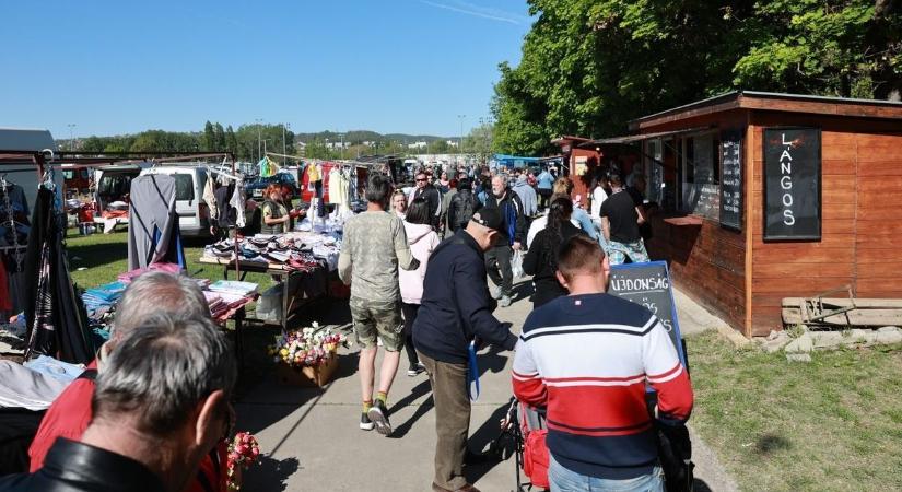 Kincsesbánya a napfényben – Szinte felrobbant a szekszárdi vásártér a tömegtől (galéria)