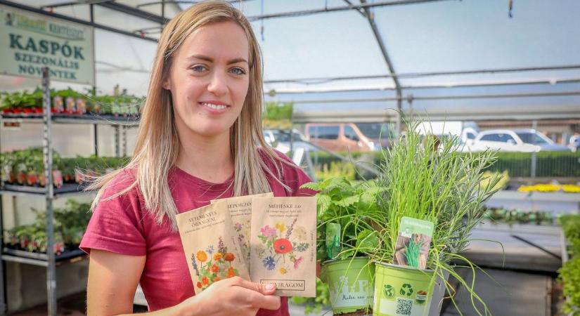 Beporzóbarát konyhakert: így vonzzuk a méheket és űzzük el a kártevőket