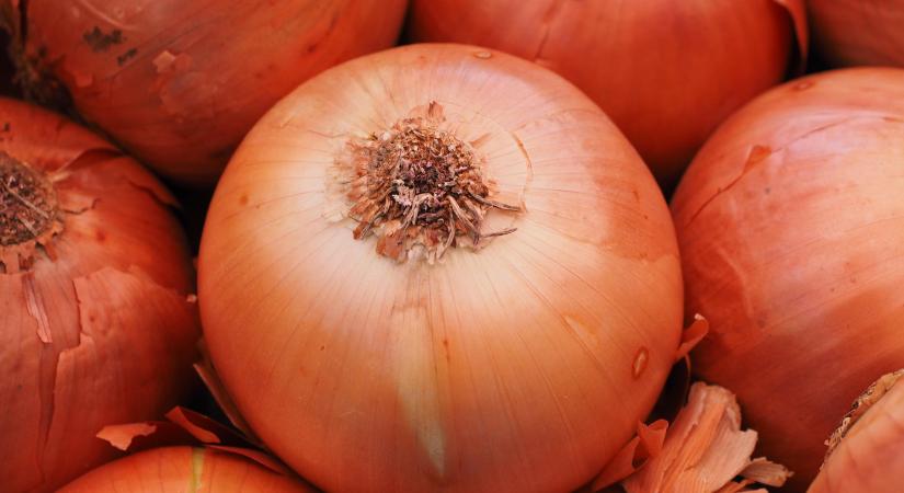 Kifogyó készletek hajtják felfelé a vöröshagyma árát Moldovában