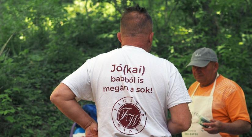 Bableves, tánc és jókedv a fák alatt: megtelt élettel a Koloska-völgy Balatonfüreden (galéria)