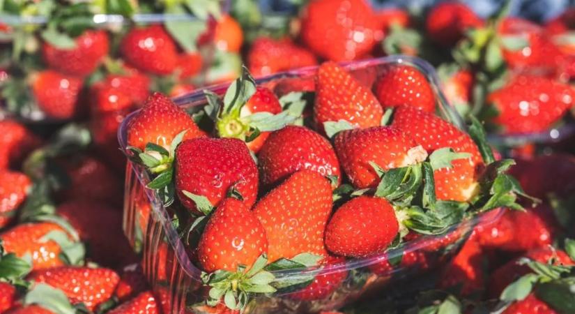 Eperszezon 2026: ennyibe kerül most a magyar és az import eper