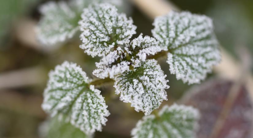 Jön az újabb fagy Magyarországon: mutatjuk, hol, mire kell felkészülni