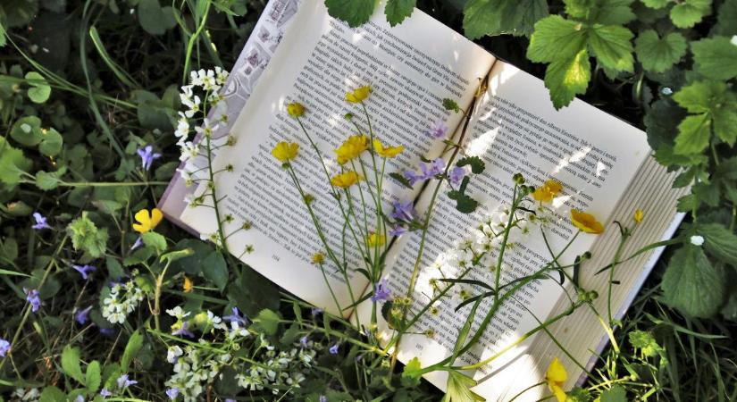 Történetek a fűben: piknikezhetünk és könyvszekrényt avathatunk Debrecenben