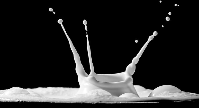 Tejben úszott az M6-os aszfaltja, miután 26 ezer liter tej ömlött az autópályára