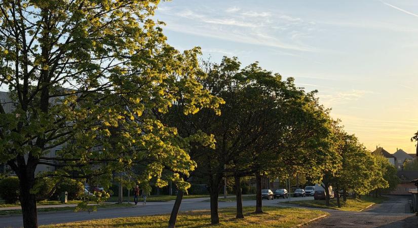 A következő héten is szeszélyes lesz a tavasz, a hidegfronttal visszatér a fagy