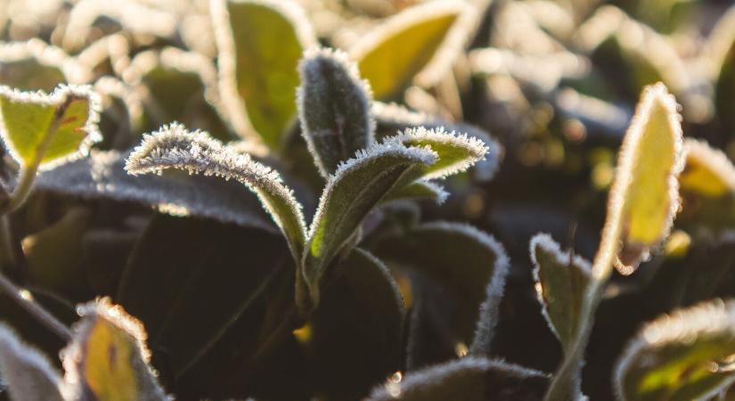 Hajnali fagyokkal köszönt be a május