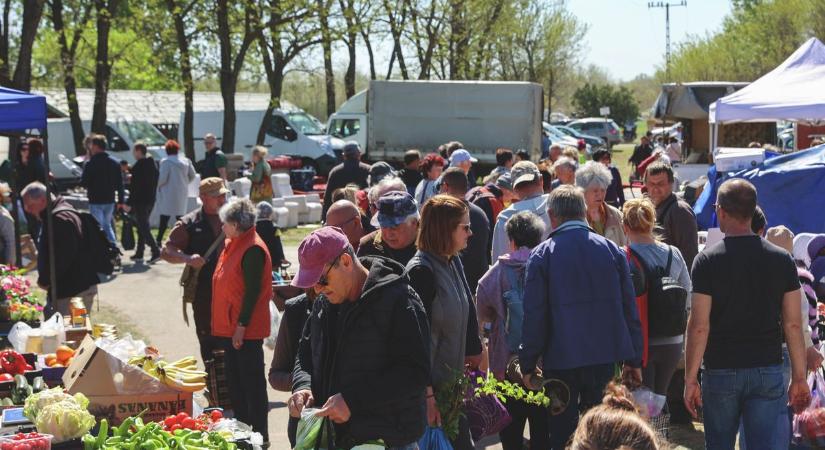 A ruzsai vásárban emucsibéktől a Kámaszútráig minden akadt, ami meglepheti a látogatókat