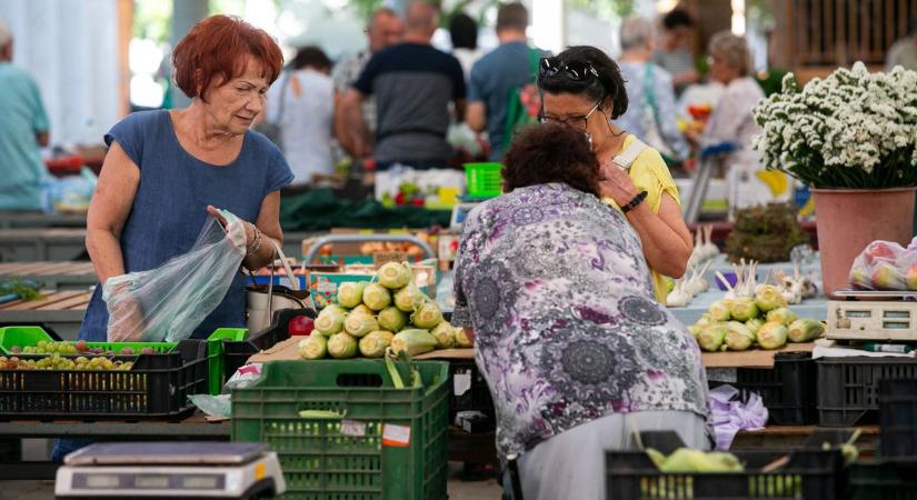 Megjelent a hallhatatlanság növénye a kecskeméti piacon  fotó