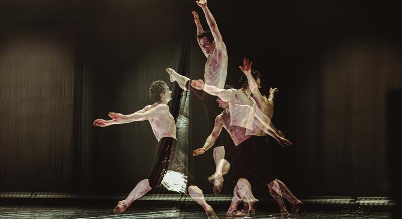 Thália elégedetten csettint - Megérkeztek a Művészetek Völgye színházi programjai