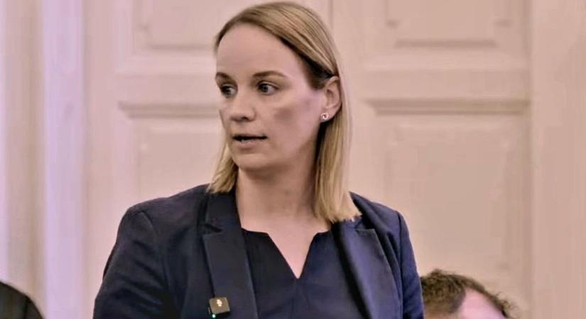 Győr környezetvédelmi szabályozásokat kér az Országgyűléstől