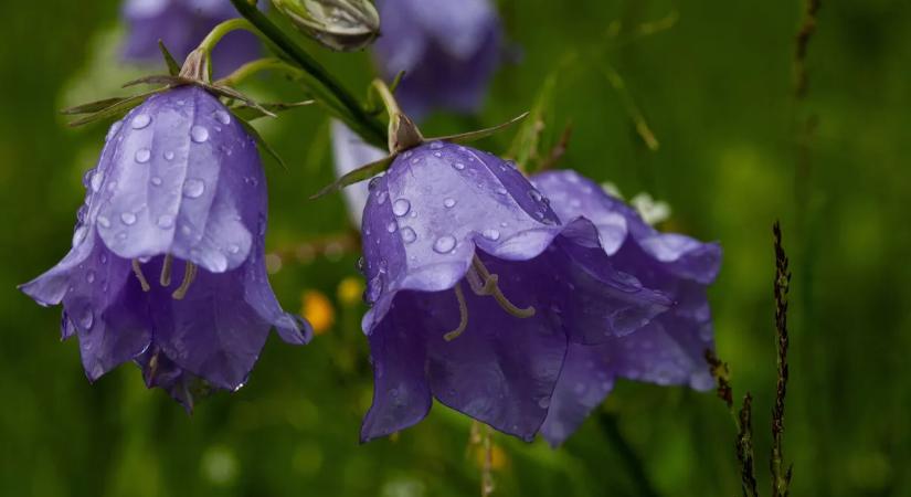 Durva fordulat jön a jövő héten, erre érdemes lesz felkészülni