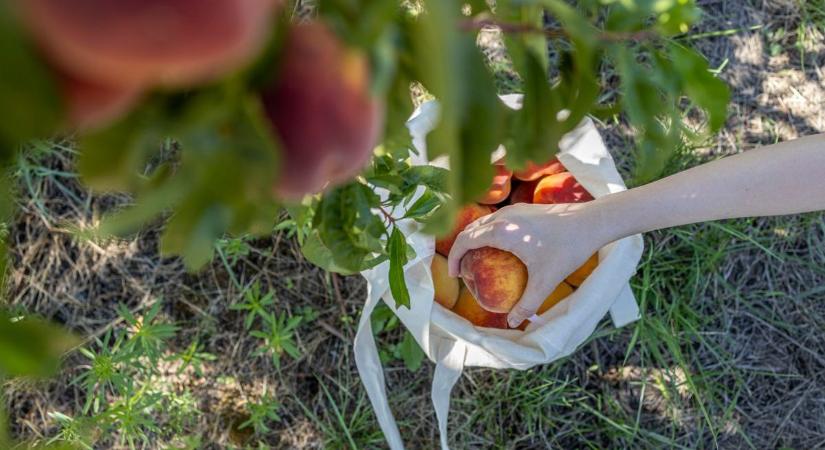 Nem akárki mondta: ez várható idén a boltok polcain