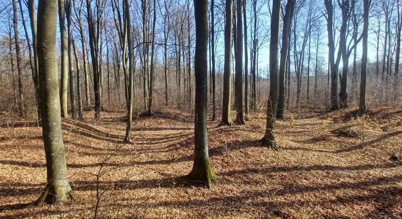Titkok a Bakony mélyén: ősi sírokra és eltűnt településekre bukkantak a kutatók (galéria, videó)