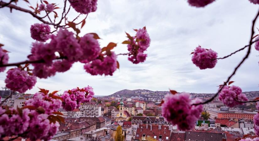 Jön az újabb hidegfront – már tudni, mikor ér Magyarországra