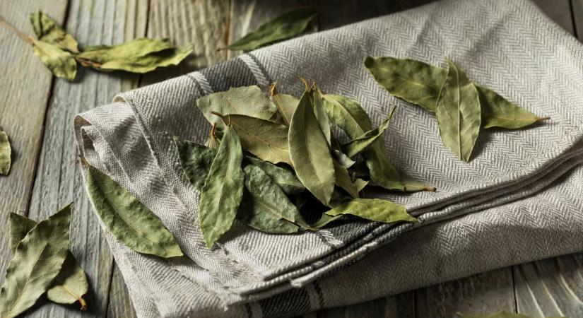 Ezért tesznek egyre többen babérlevelet a szőnyeg alá – a hatás meglepő