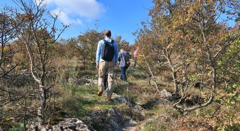 Azért hajnalban nem lesz melegünk – ezt hozza a holnapi időjárás