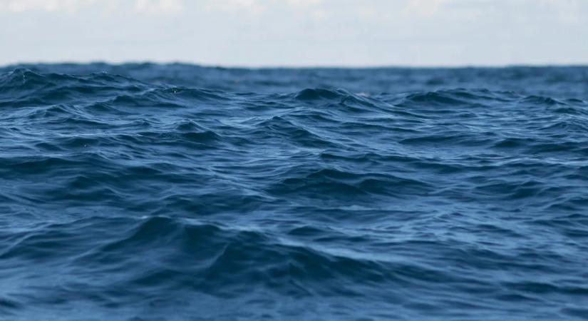 Tiltott sziget, cápákkal őrizve: legendás kincs lapulhat a mélyben