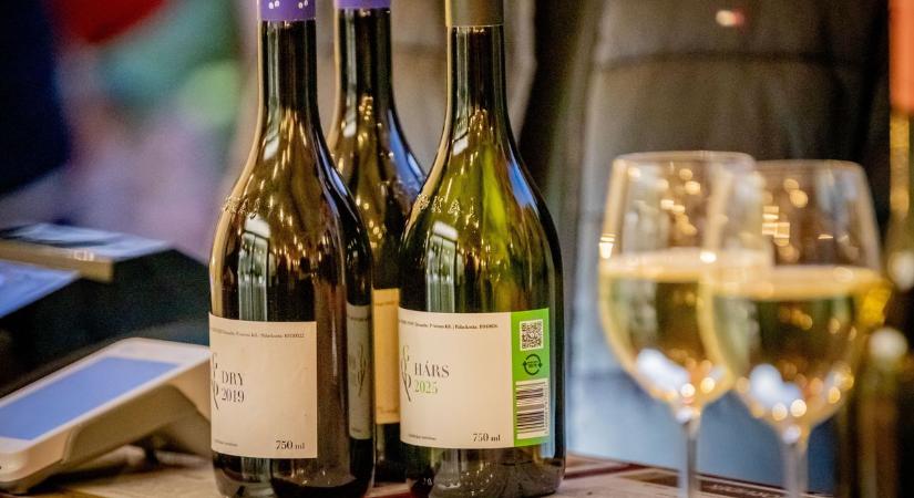 Jó hangulat, bor és zene: így zajlott a pincenyitó Miskolcon - képekkel