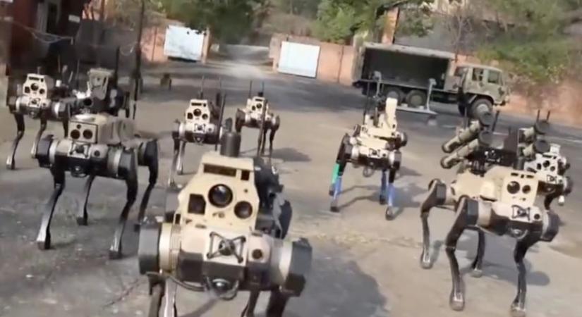 Robotfarkas falkákat fejleszt a kínai hadsereg