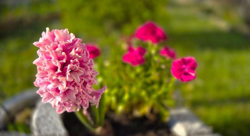 Hétfőn a hideg reggel után eddig melegszik az idő