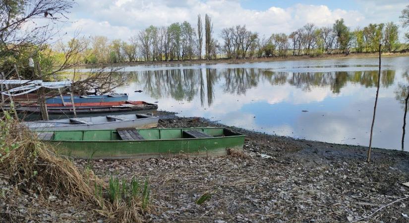 Vészesen alacsony a vízállás több tiszai holtágban
