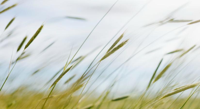 Visszatér a reggeli fagy, de napközben javul az idő