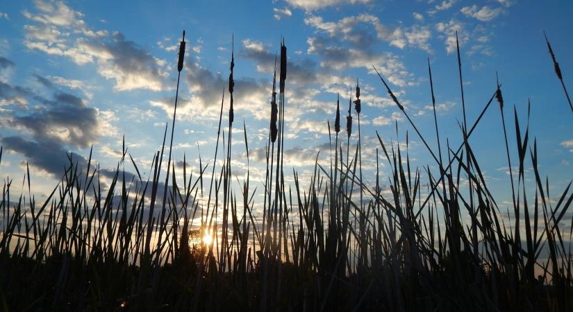 Időjárás 2026. április 27.: Kellemesen meleg, növekvő felhőzettel