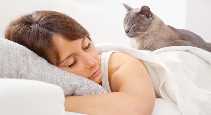 Az ideális alvásigény életkor szerint: Ennyit érdemes aludni 20, 30, 40, 50 évesen és felette