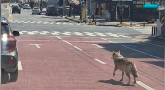 Az év átverése ez a fotó, de nagyon nagy baj lett belőle