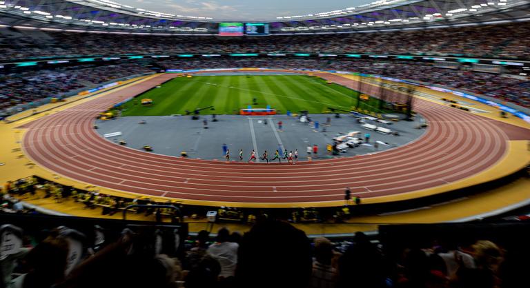 Eltűnt a politikai védőháló, sorra inognak meg a magyar sport vezetői székei