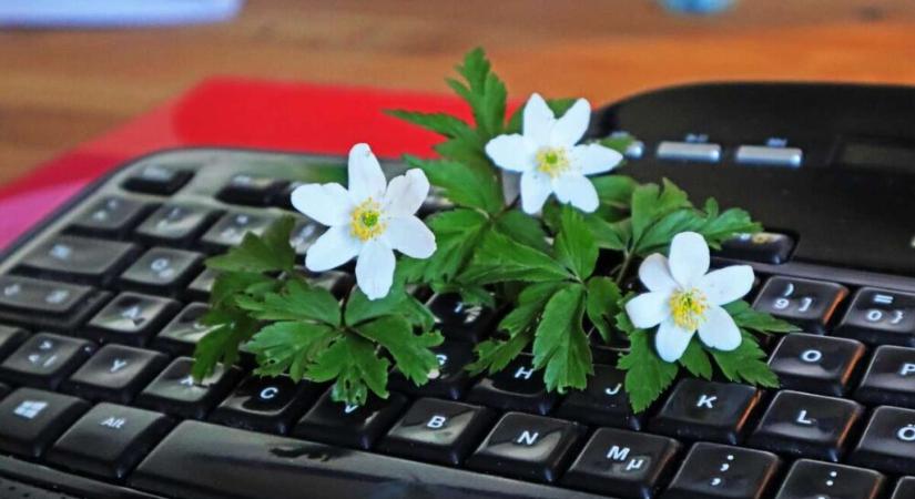 Hiszi, nem hiszi? Napi horoszkóp: 2026. április 27., hétfő