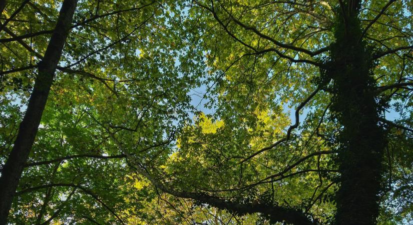 Csodás időjárással indul a hét eleje - Többórás napsütésre számíthatunk